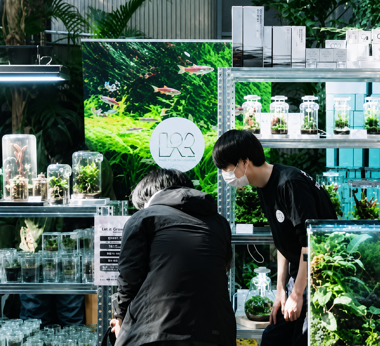 草缸店铺中陈列的水草与设备