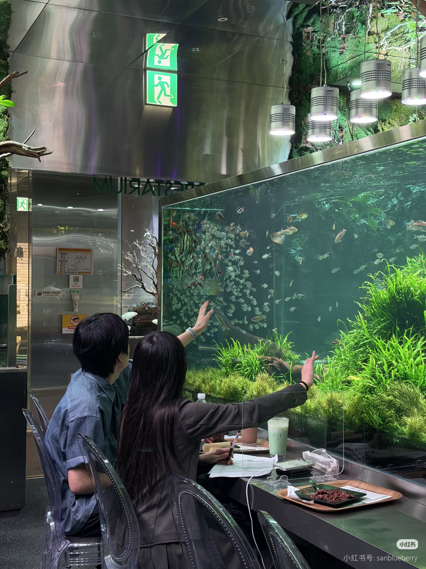 用户在水族馆观察大型草缸