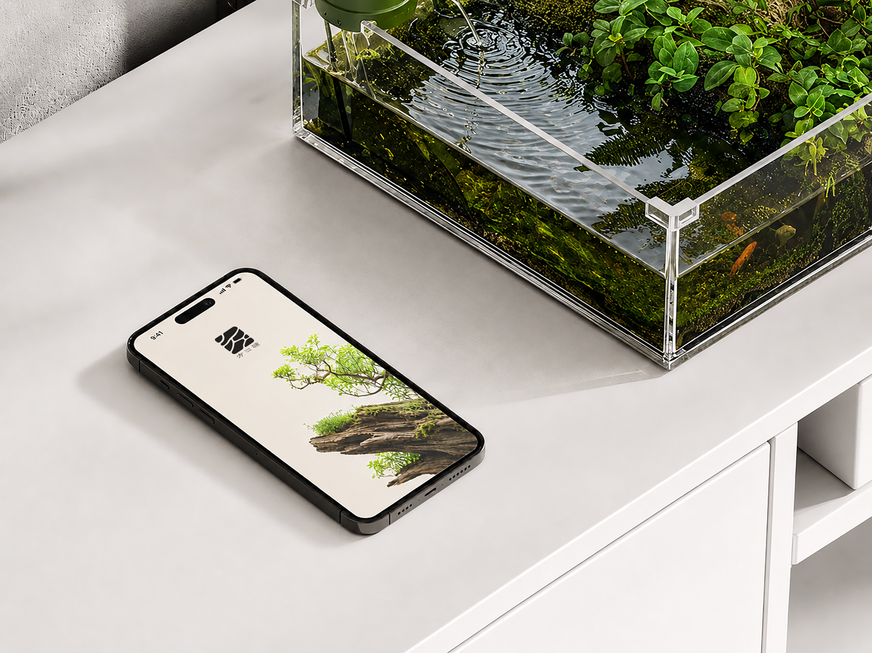 手机展示方塘 APP，旁边摆放着水草缸