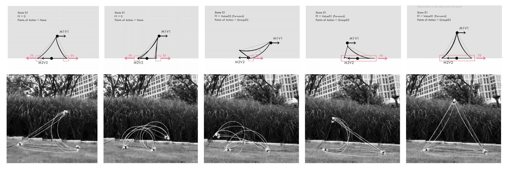 Crawling movement study